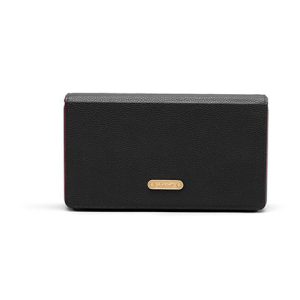 Marshall Stockwell Flip Case